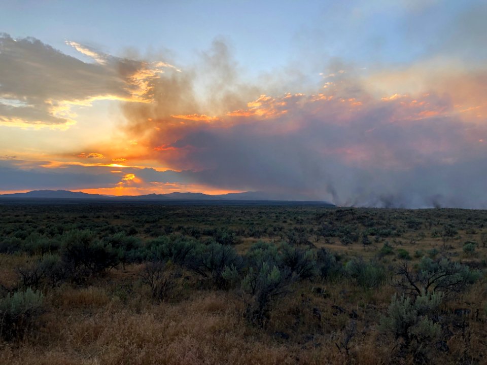 2020 Photo Contest: Land We Protect