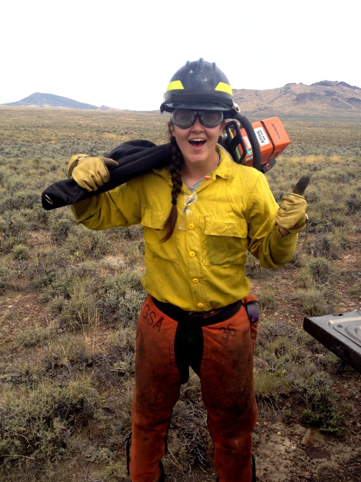 BLM Fuels Project