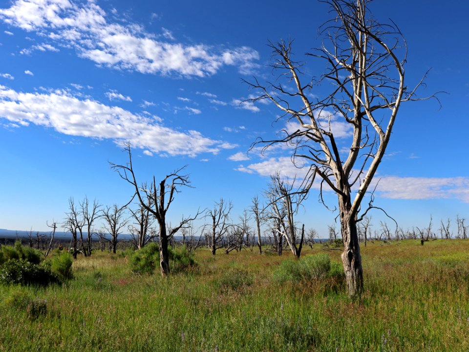 Mesa Verde NP in CO
