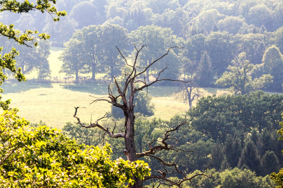 Landleben in Nordhessen