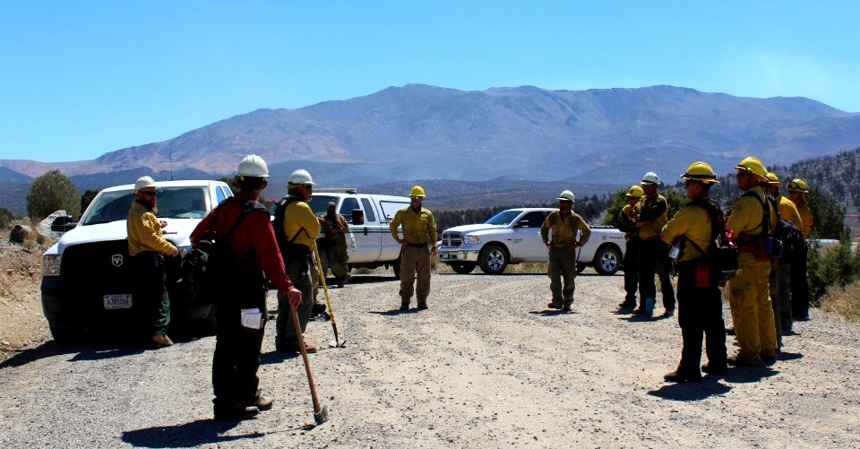 Medical Emergency Training Simulation photo