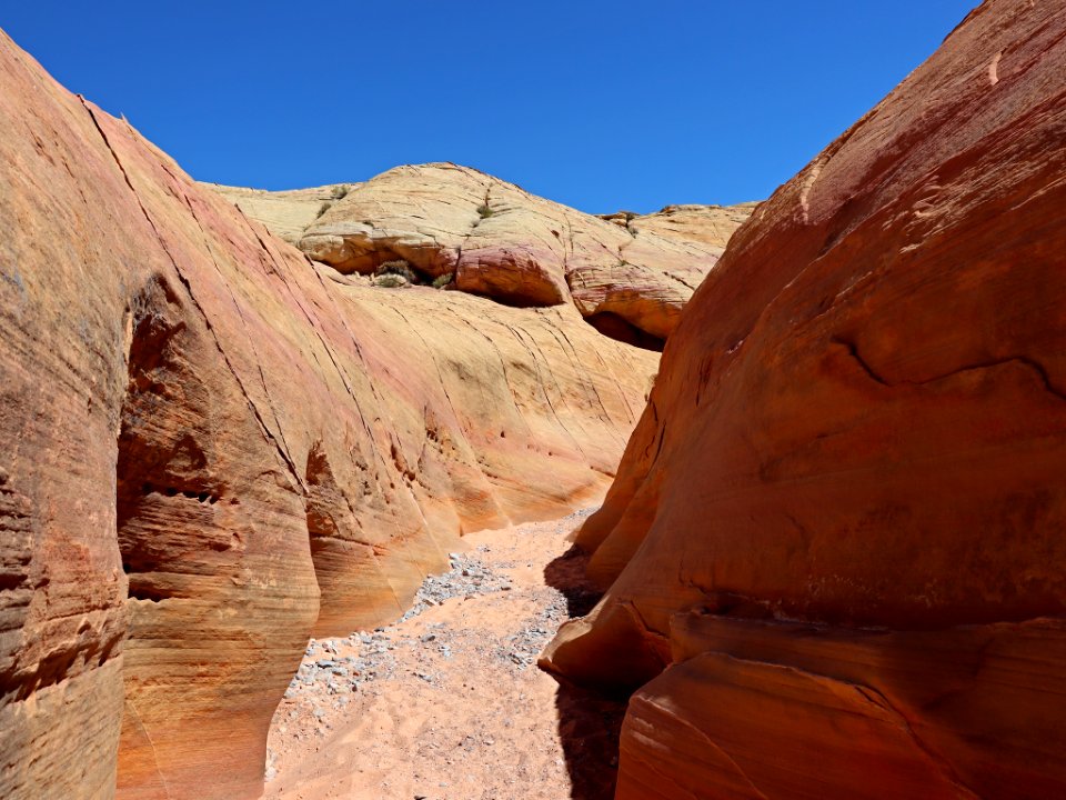 Pink Canyon at Valley Of Fire SP in NV