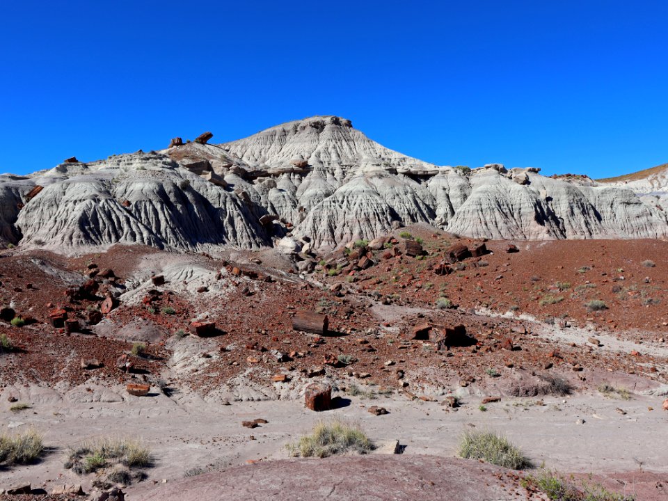 Petrified Forest NP in AZ