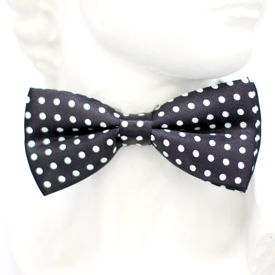 Fly tie loop