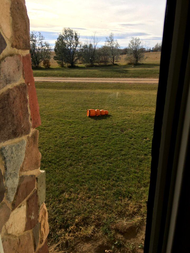 Attempted Pumpkin Getaway Reprted
