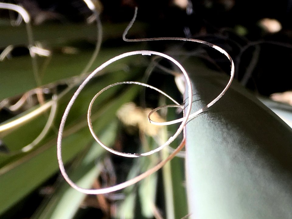 Not So Strange Loops