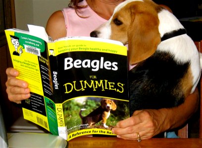 Learning By the Book