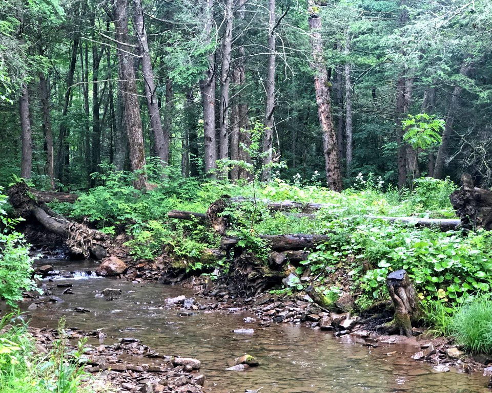 20190620-FS-Monongahela-KMB-617