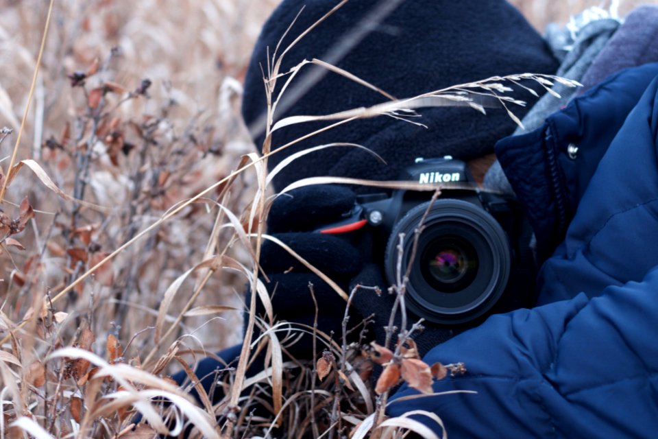 Camera in the Grass