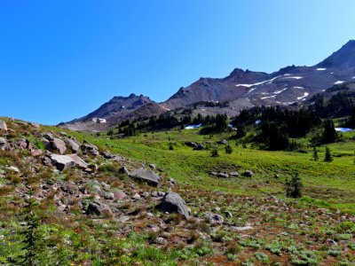 Goat Rocks Wilderness in WA