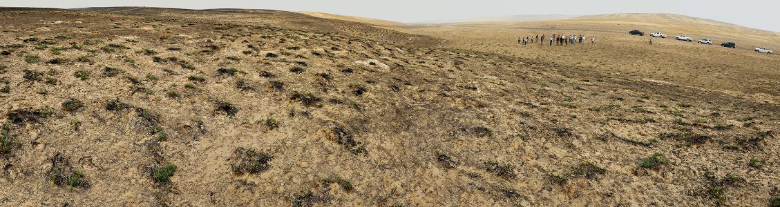 Fuel Break Stops Wildfire