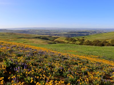 Dalles Mountain Ranch in WA photo