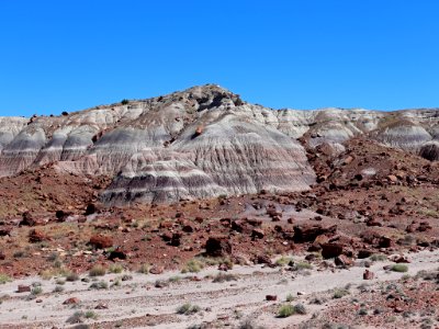 Petrified Forest NP in AZ photo