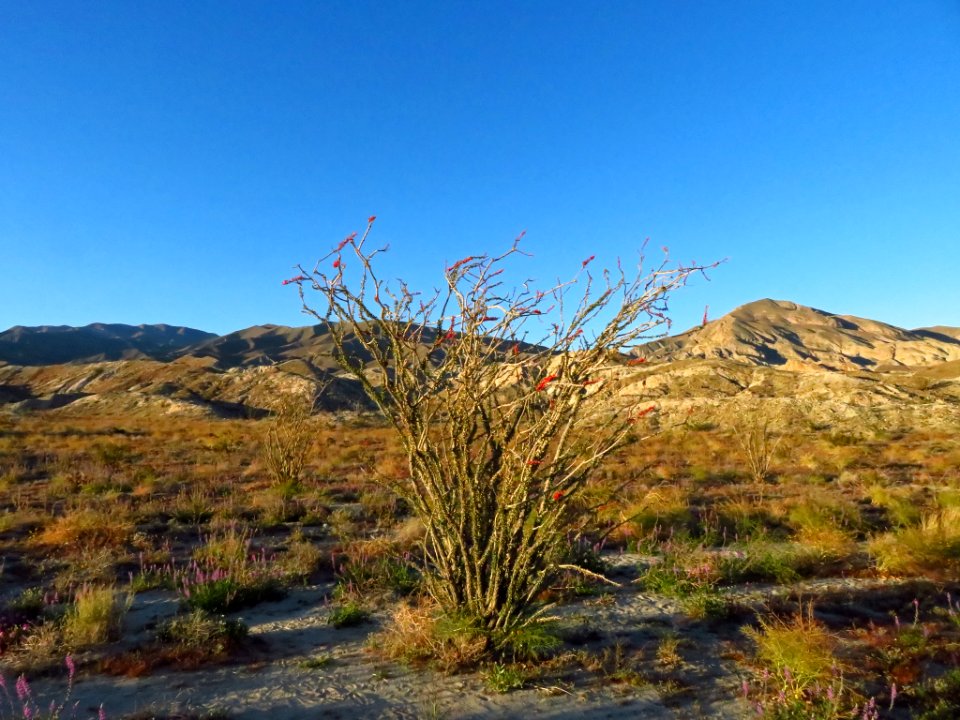 Badlands at Anza-Borrego Desert SP in CA