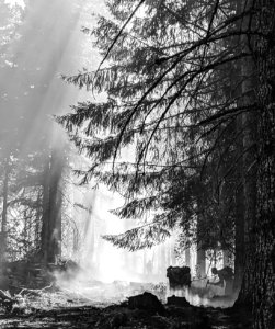 BLM Fire and Aviation Photo Contest 2020