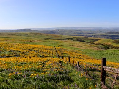 Dalles Mountain Ranch in WA photo