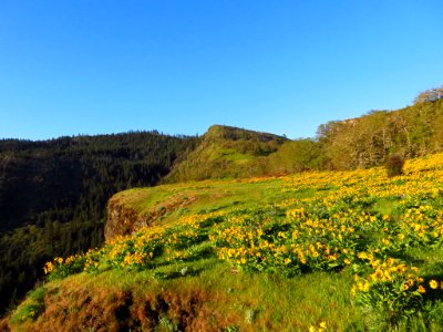 Rowena Crest in OR photo
