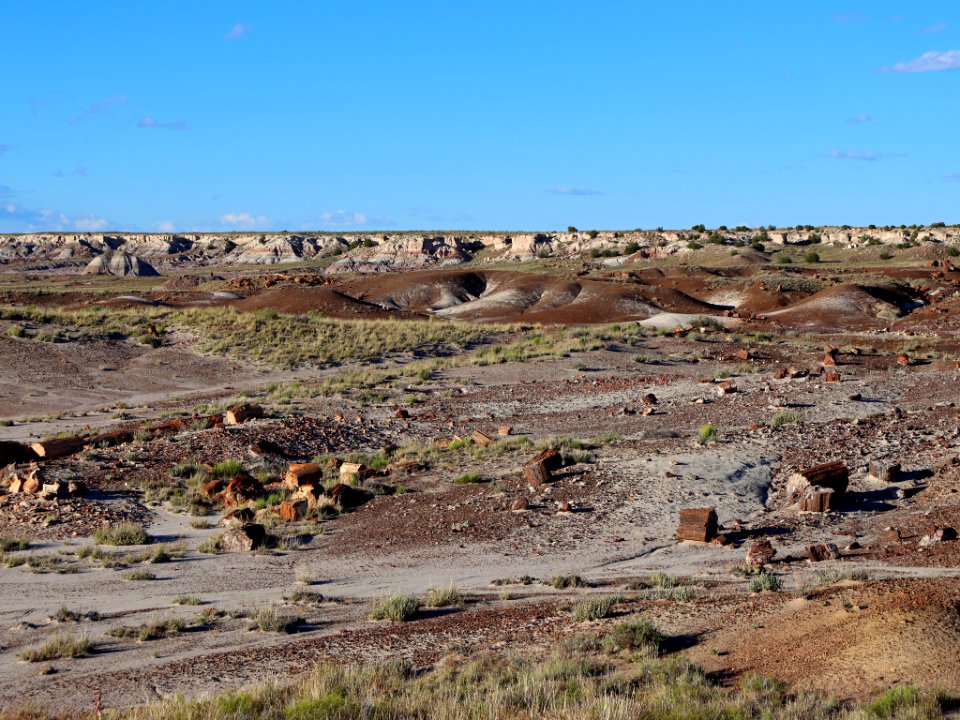 Petrified Forest NP in AZ
