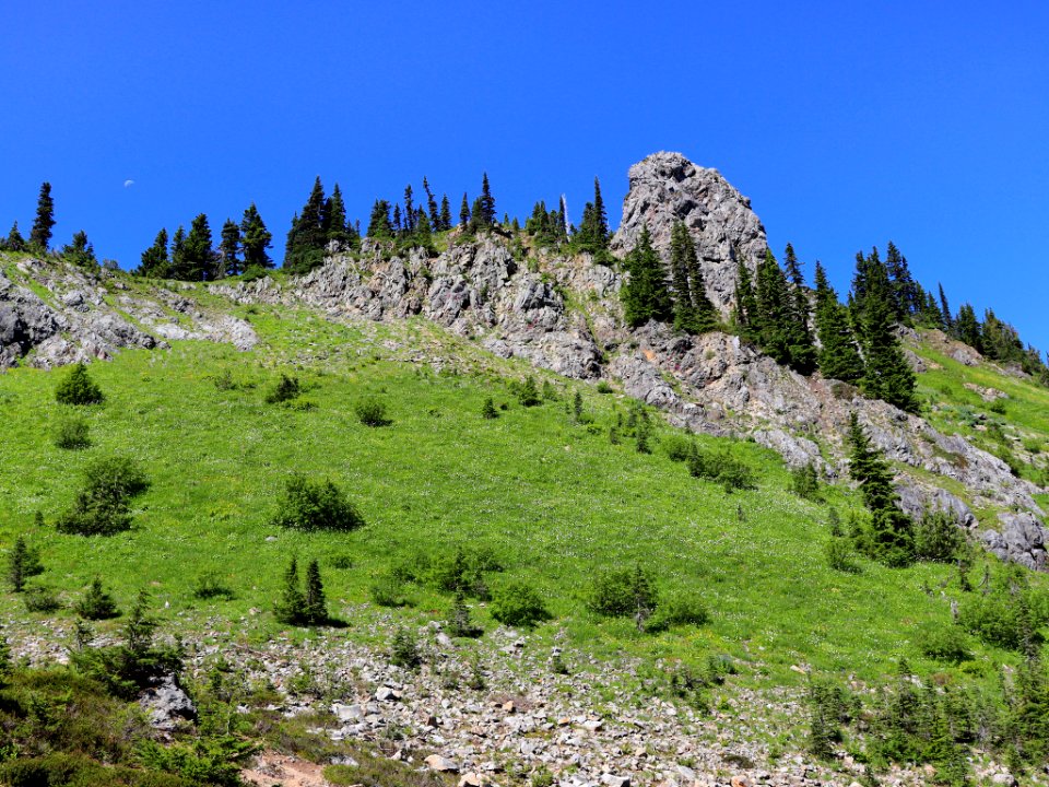 Tatoosh Ridge in WA