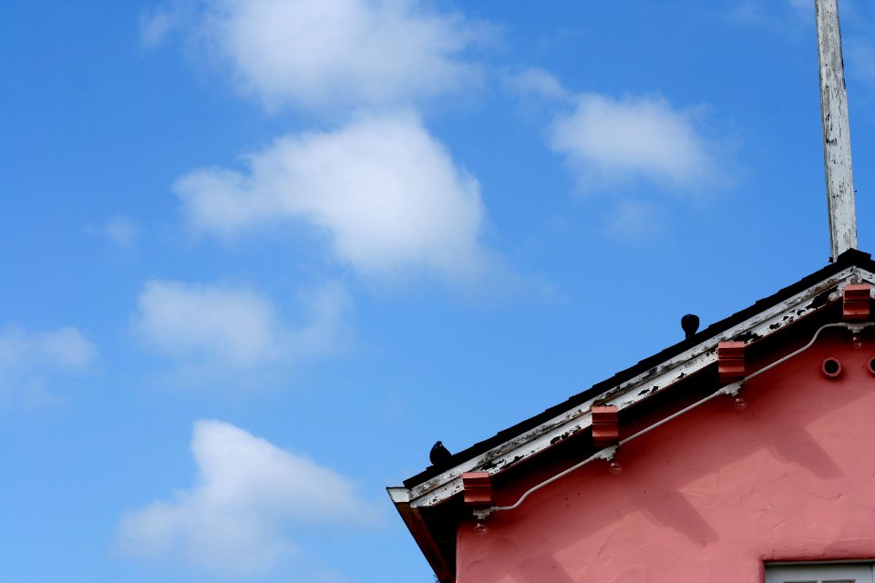 Pink White and Blue