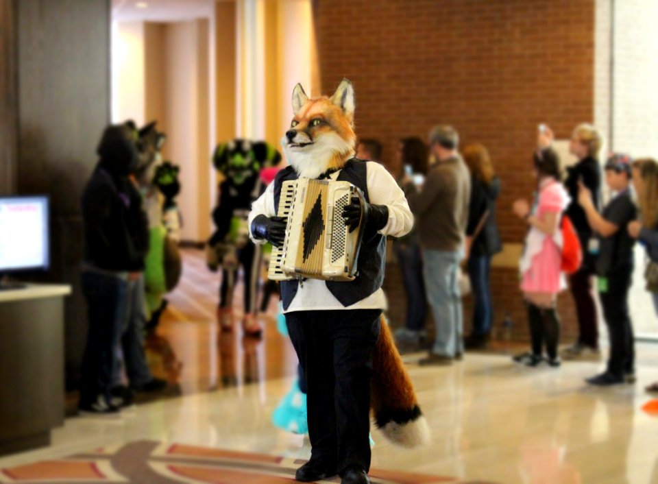 FurTheMoore2019 jv 10