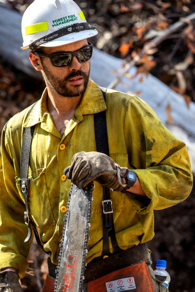 US Task Force members clearing felled trees from a road