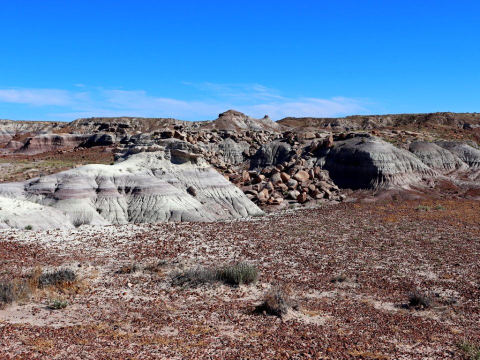 Petrified Forest NP in AZ