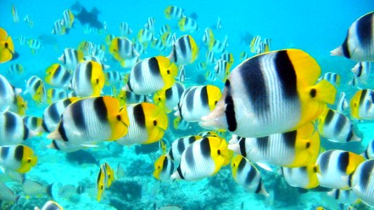 Surcando las olas-Yolanda-Yague-Blog-Crossover-3