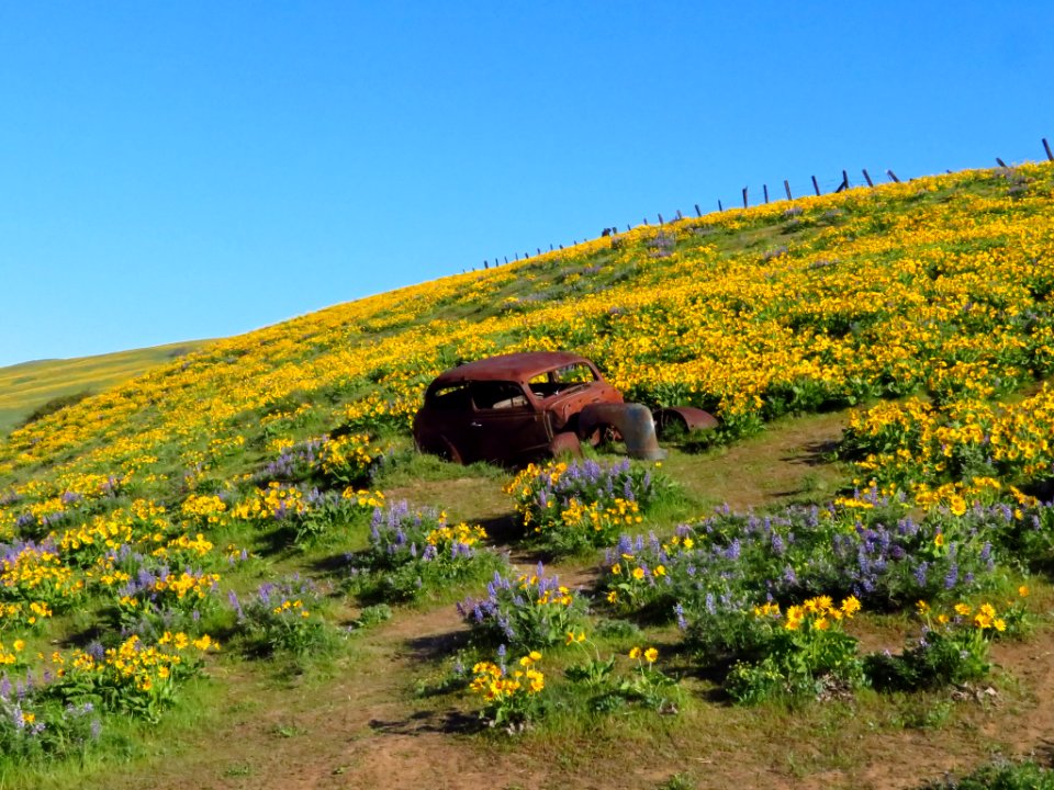 Dalles Mountain Ranch in WA