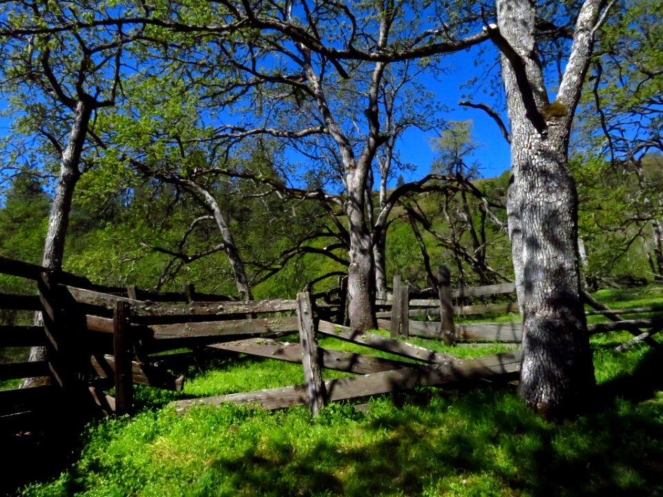 Catherine Creek Trail in WA photo