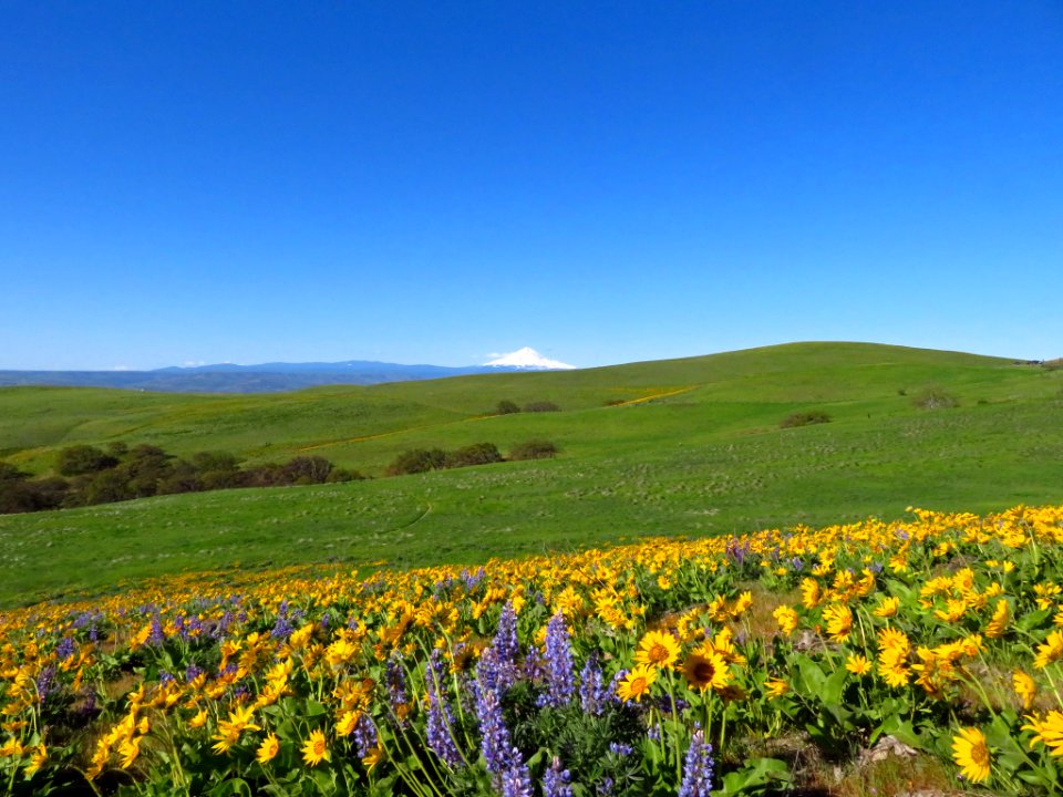 Dalles Mountain Ranch in WA