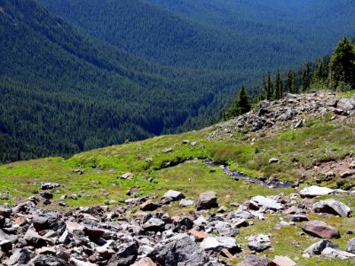 Goat Rocks Wilderness in WA