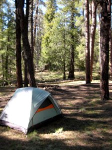 A Home For the Night