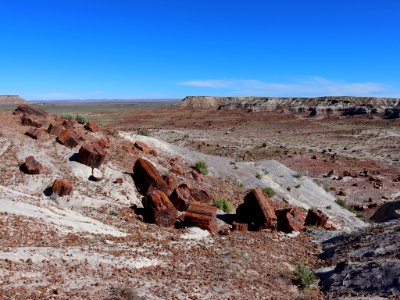 Petrified Forest NP in AZ