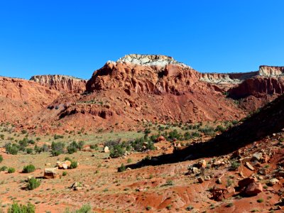 Landscape in New Mexico photo