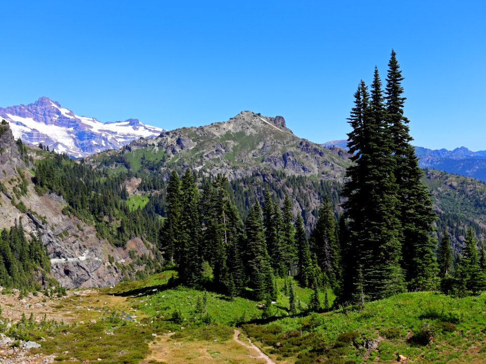 Tatoosh Ridge in WA