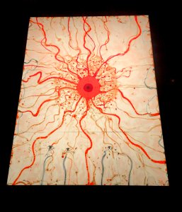 The Eye Watches You
