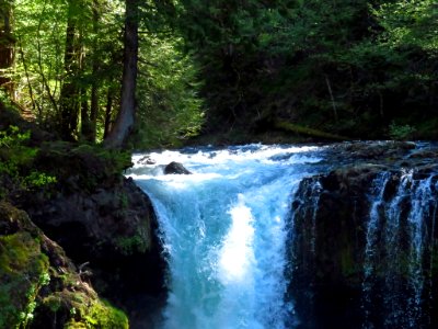 Spirit Falls in WA photo