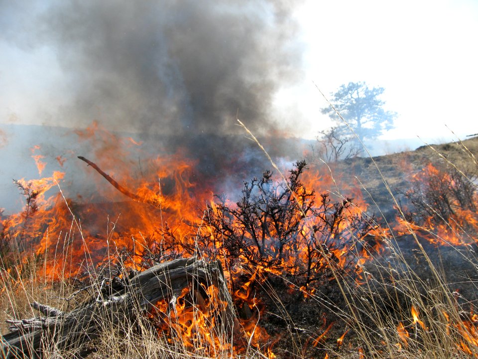 Prescribed Fire on the Refuge