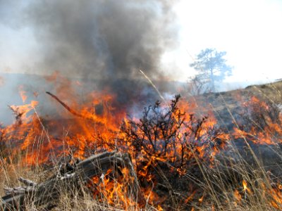Prescribed Fire on the Refuge