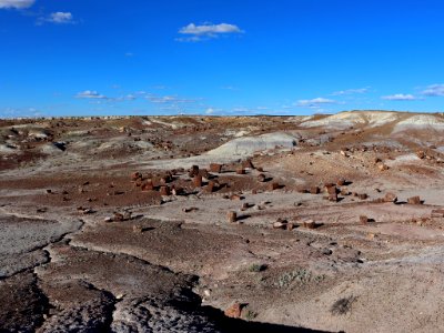 Petrified Forest NP in AZ