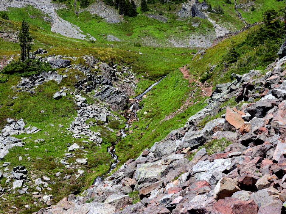 Goat Rocks Wilderness in WA