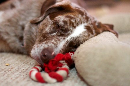 Peaceful Dreams