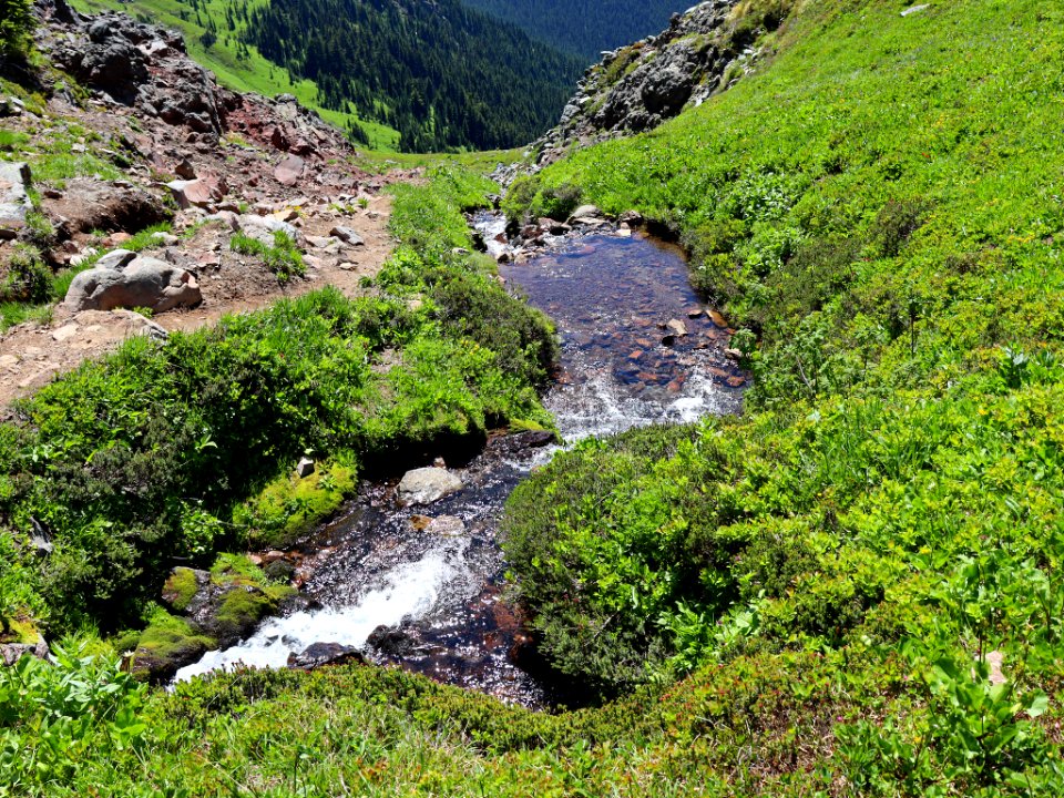 Goat Rocks Wilderness in WA