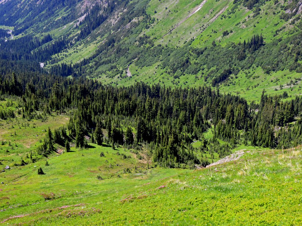 Goat Rocks Wilderness in WA
