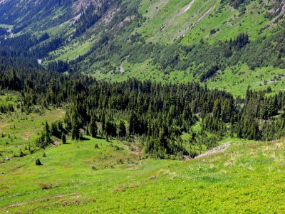 Goat Rocks Wilderness in WA