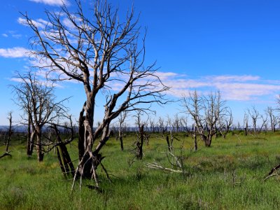 Mesa Verde NP in CO photo