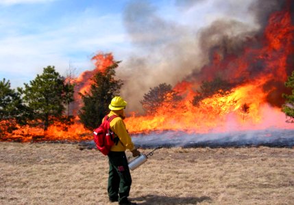 BLM Fuels Project photo