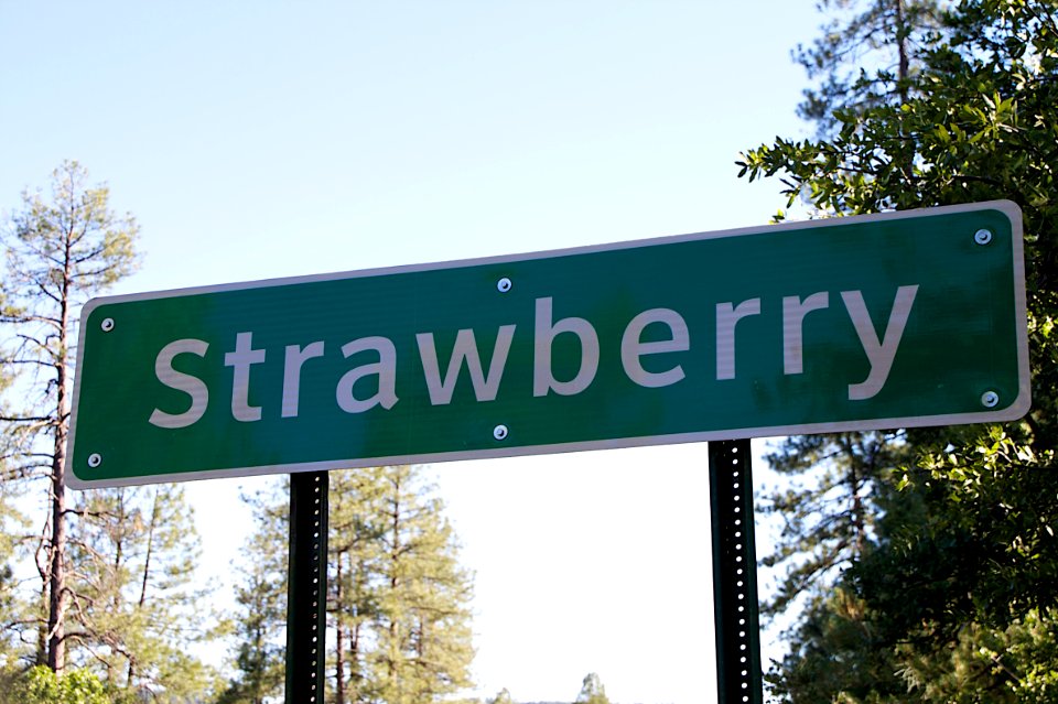 Welcome to My Town