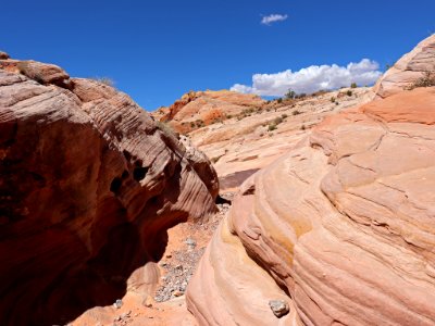 Pink Canyon at Valley Of Fire SP in NV photo